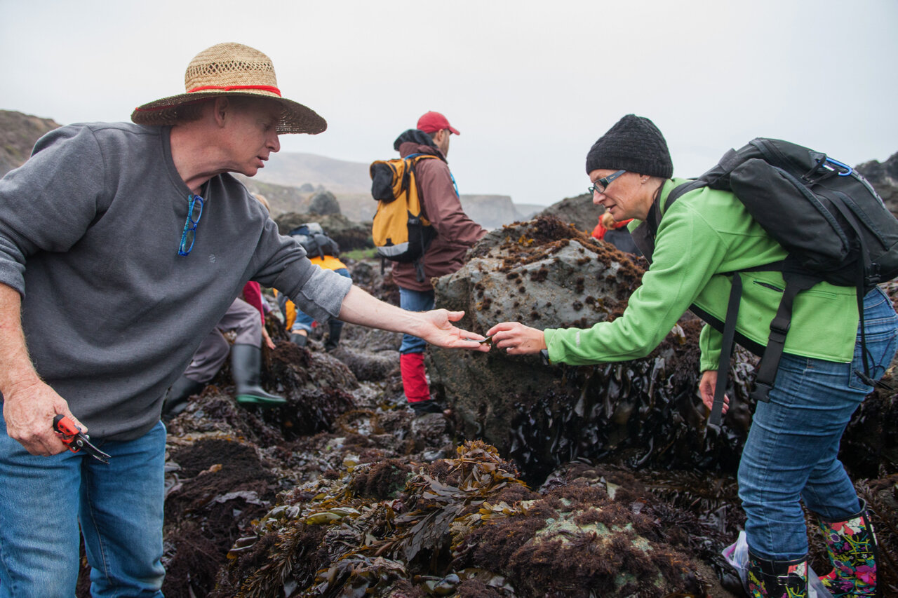 people gathering to forage