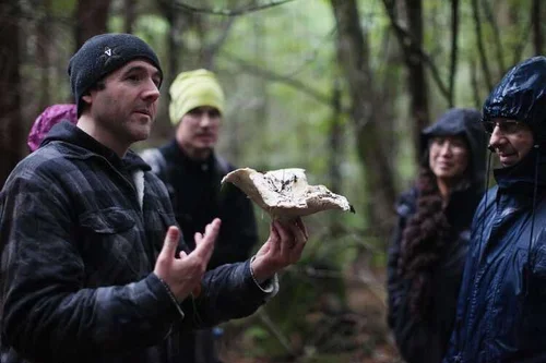 Wild Foraging Classes in California