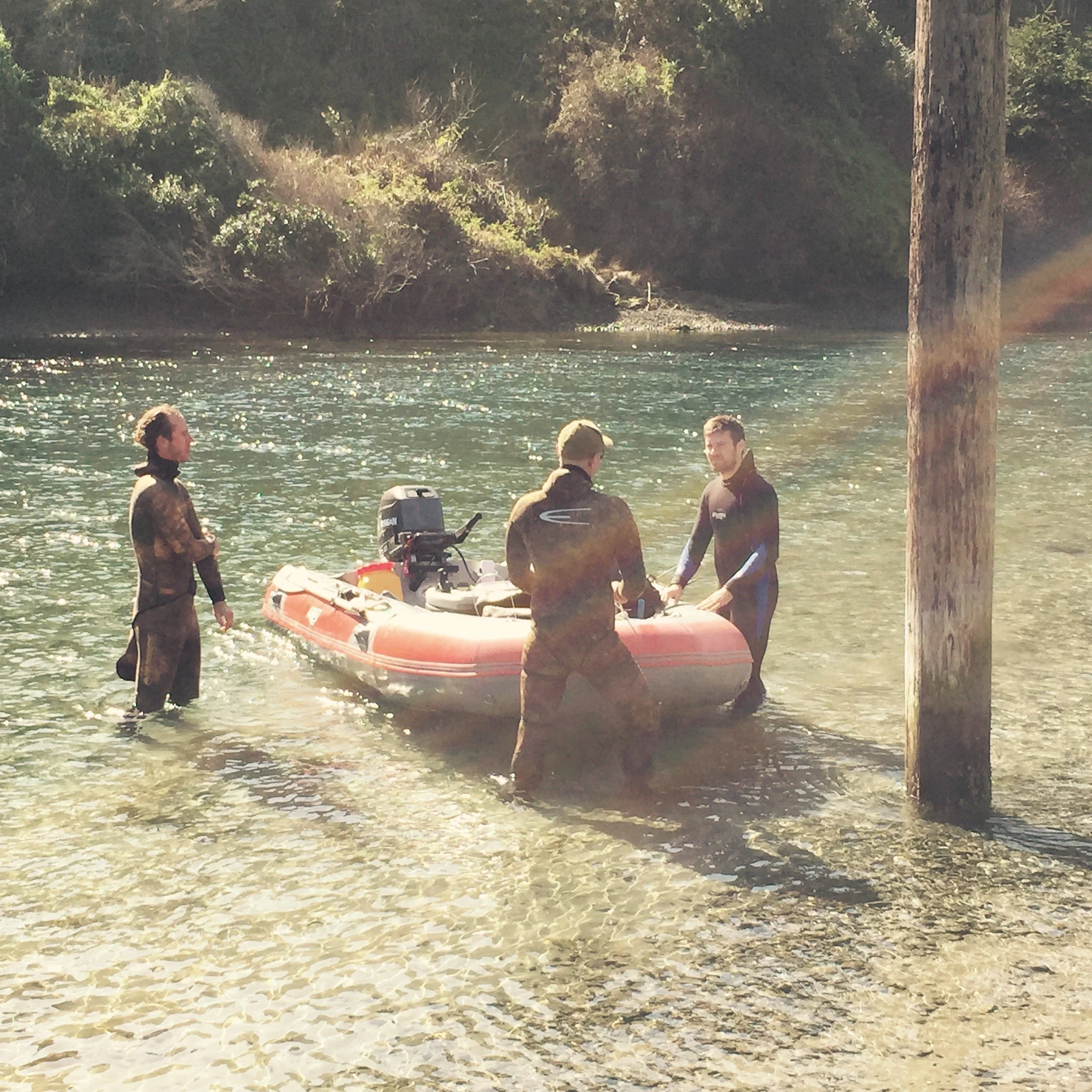 Welcome Chef Ty Taube 