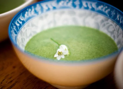 Nettle Is Great...Wild Nettle Soup Recipe