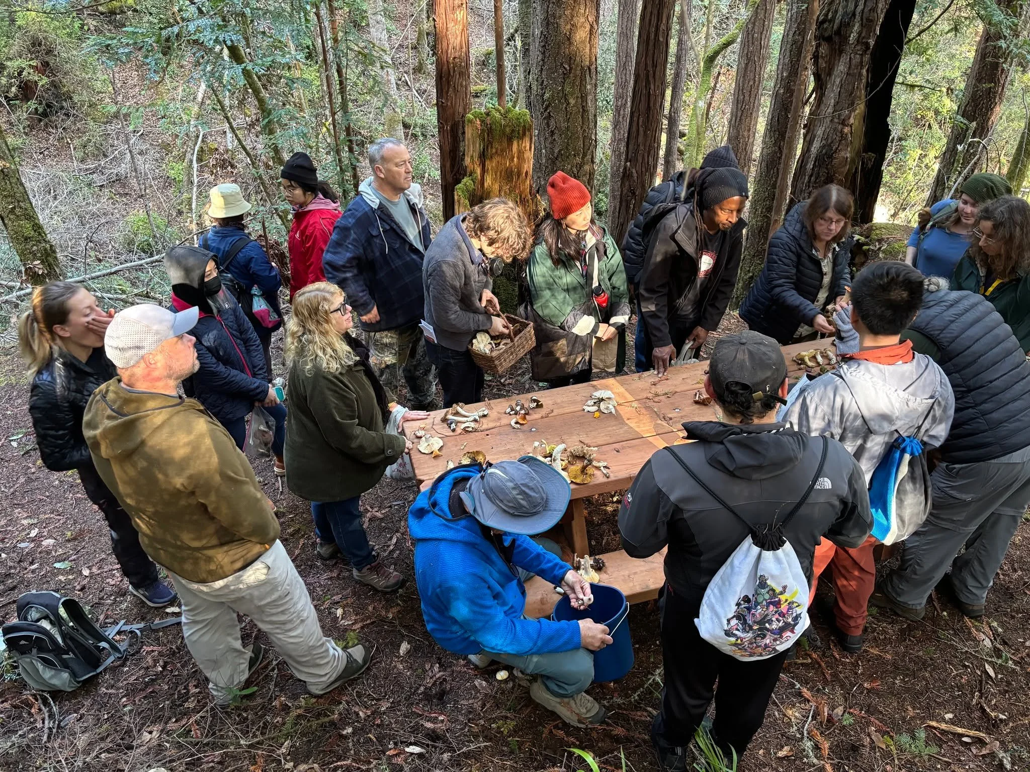 Friends, we spent all summer waiting for this. Mushroom season is officially here and we're taking people out to the woods again. Check out www.foragesf.com for dates!