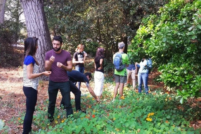 Three hours without your phone.

Friends, we're making it happen&hellip;

Starting in November, our SF wild plants walks are completely phone-free. When you show up, you hand us your phone. Three hours later, we give it back, and we take a group phot