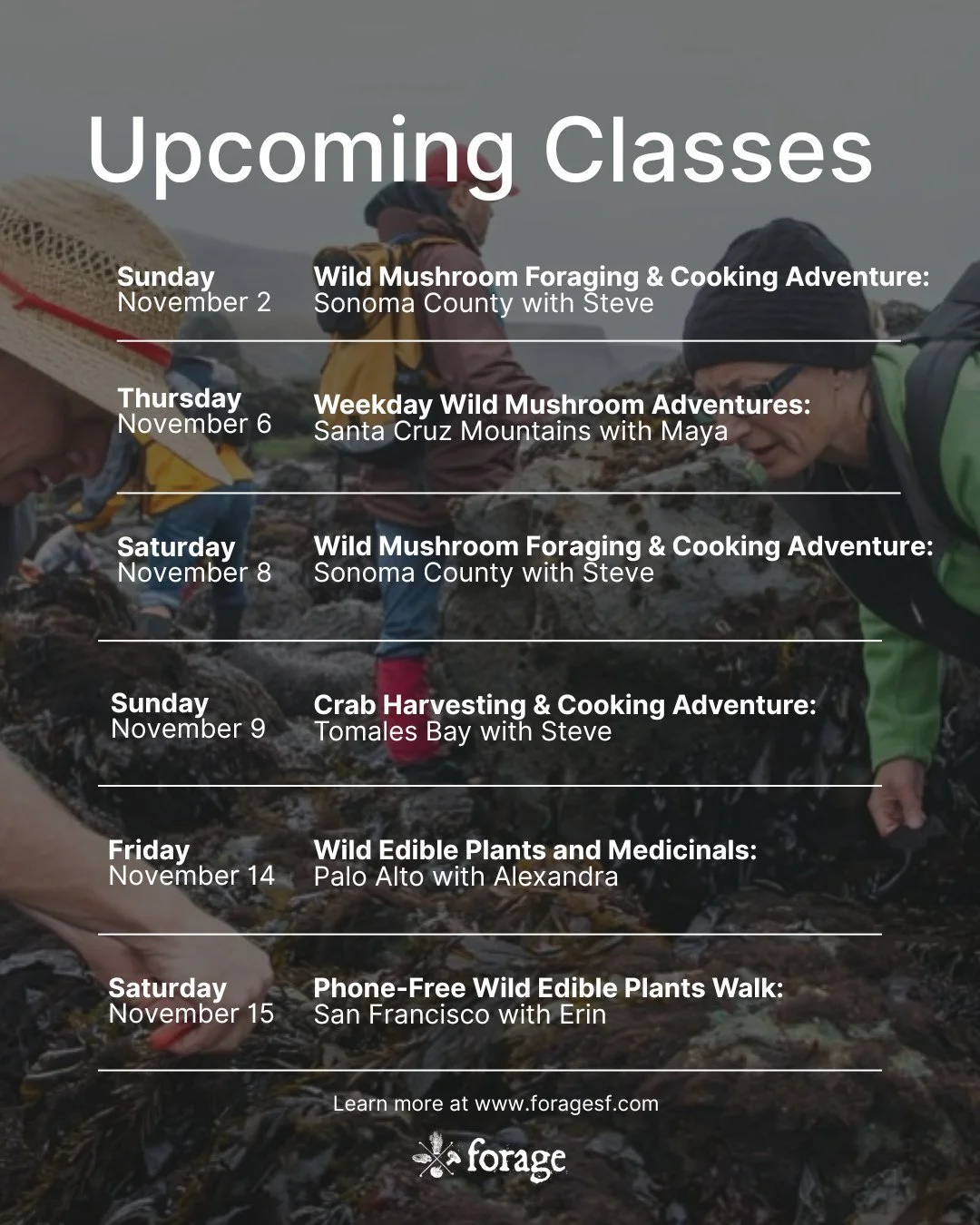 Ever wondered what&rsquo;s growing wild near you? Our classes are the perfect way to find out. Check the schedule and join us at www.foragesf.com! #forageSF