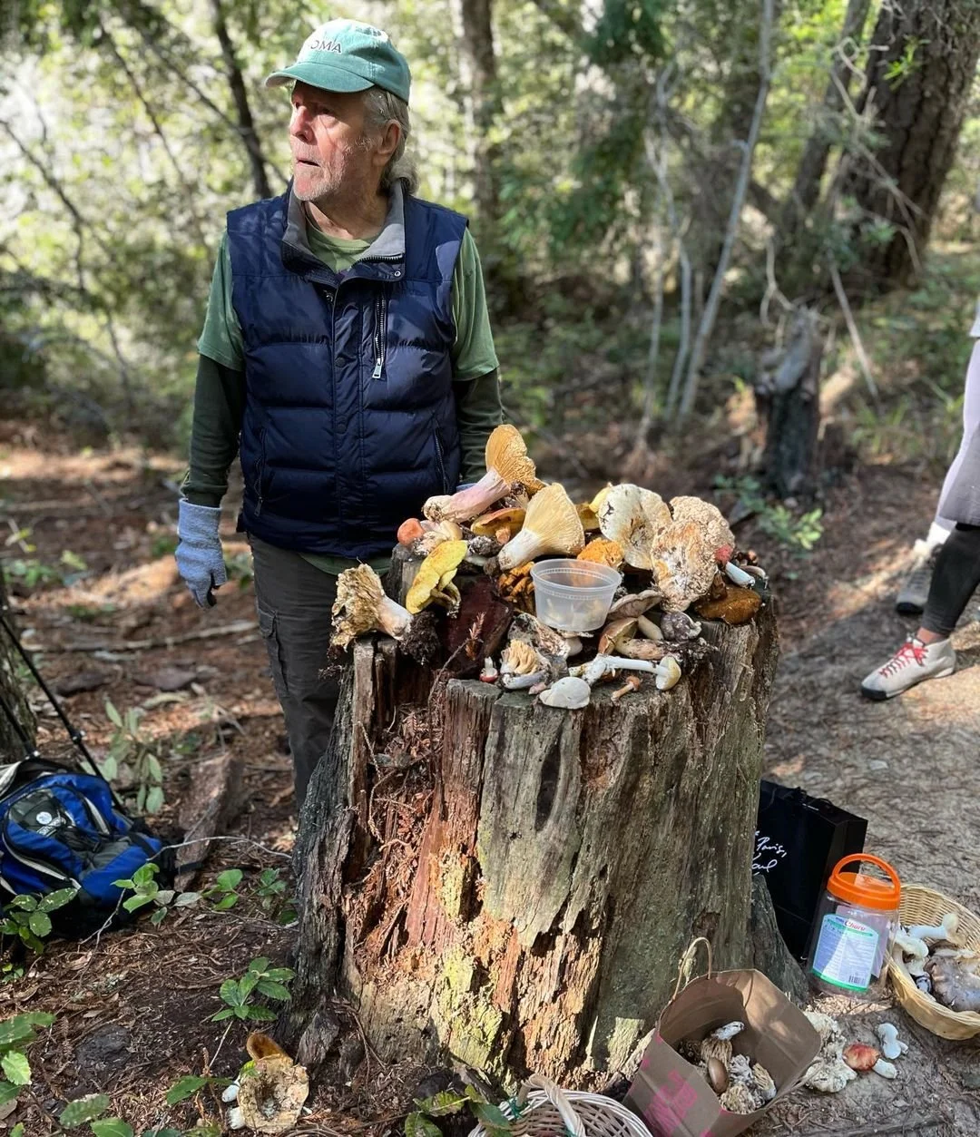 Throwback to @ghoulie_glass&rsquo;s post from a few mushroom seasons ago in the beautiful Sonoma County.

Want to learn how to forage mushrooms yourself? 

 Visit foragesf.com to find a class! 🍄