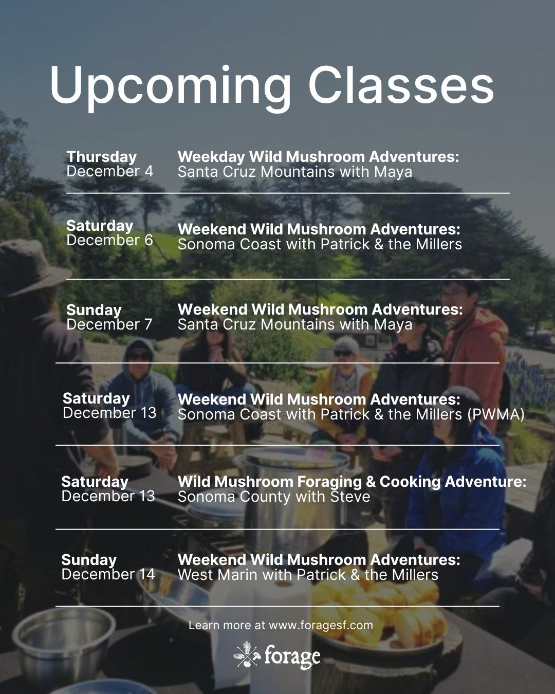 December is officially stacked, friends. If you&rsquo;ve been waiting for a good weekend excuse, come hang and learn a new skill. All the details are up at foragesf.com. Save your spot whenever you&rsquo;re ready. #forageSF