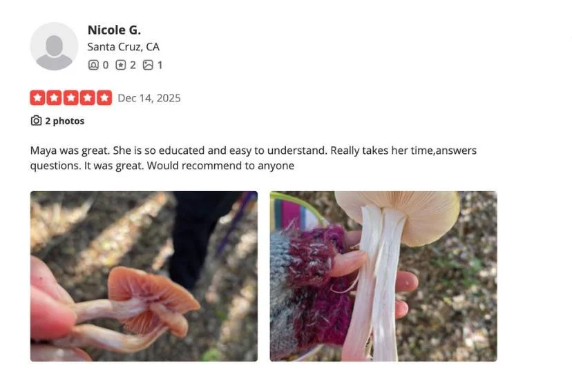 Maya brings you to special spots in the Santa Cruz Mountains where you can really learn...not just find mushrooms, but understand them. She's patient, passionate, and makes foraging feel accessible whether you're totally new or  want to sharpen your 