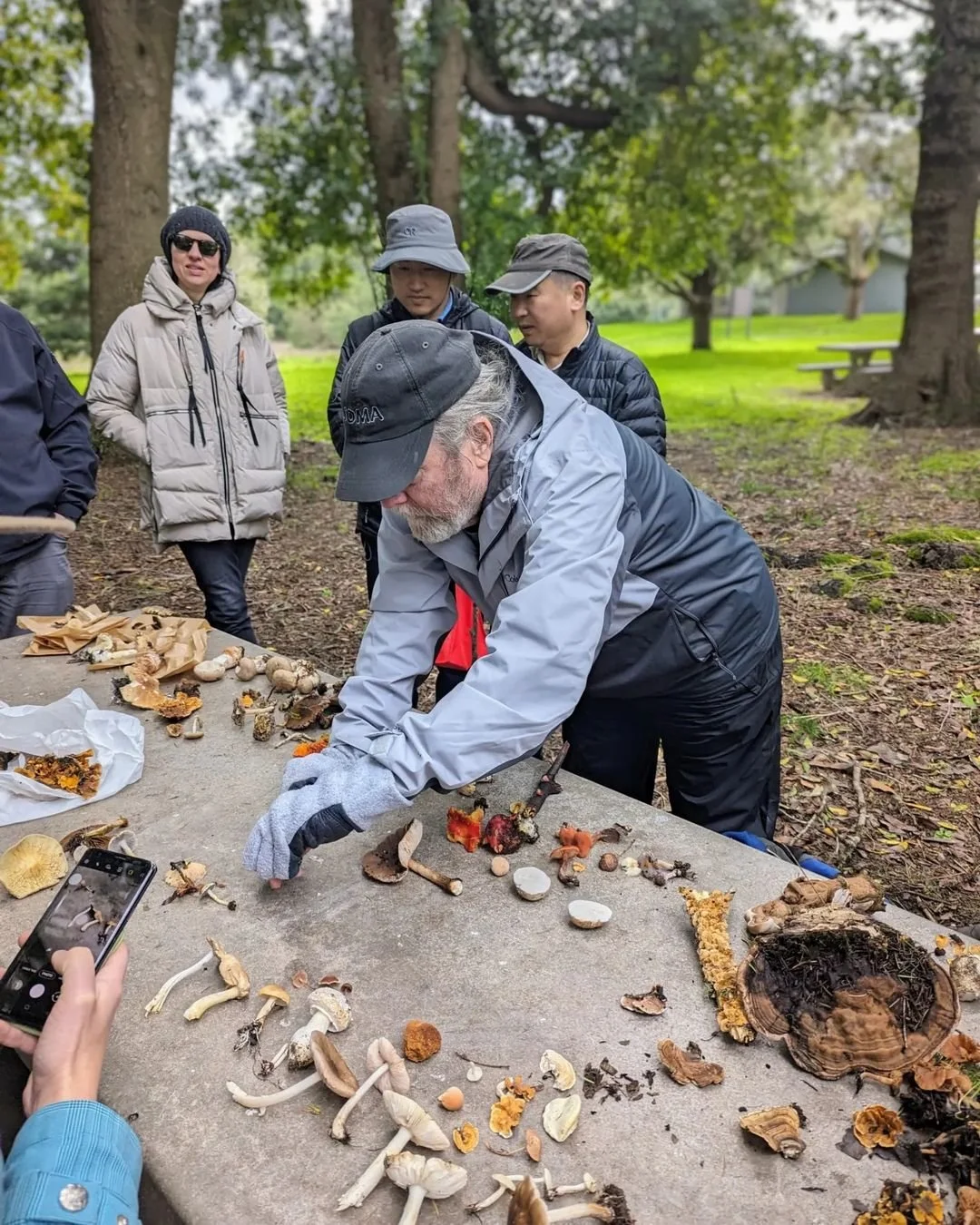 "I took a mushroom foraging class with @foragesf this past weekend... so fun! I love to forage but mushrooms intimidate me. Probably because some of them could kill me? We didn't find any mushrooms that were ideal for eating (no chanterelles, un