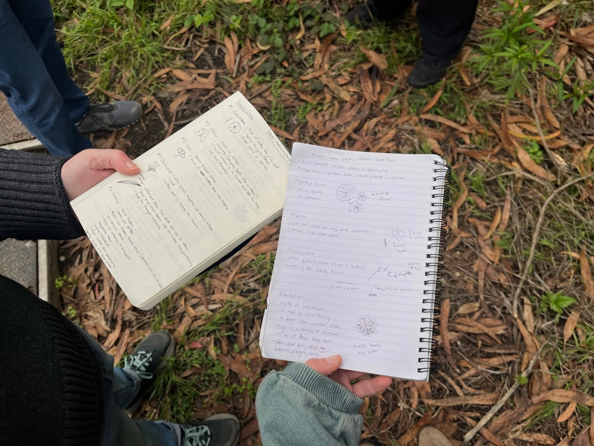 Walk with herbalist Erin McKinsey and learn what's edible, what's medicinal, and what you've been walking past your whole life without noticing!

Next class: Saturday, January 24 in San Francisco
Visit www.foragesf.com to learn more.