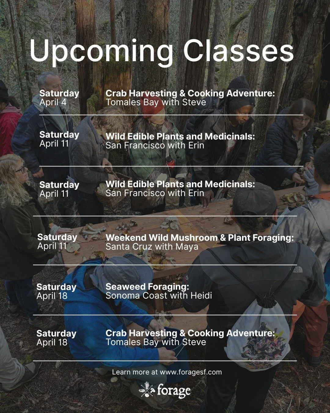 April foraging classes! 

Get your tickets or learn more about our classes: foragesf.com