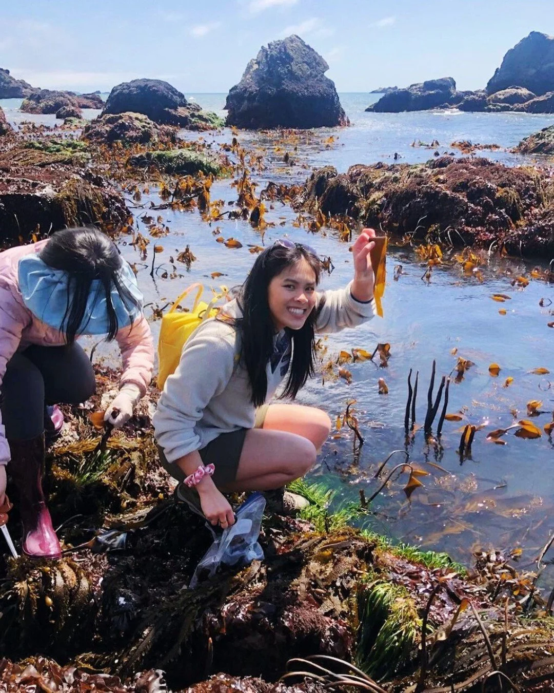 Most people never think of seaweed as a local food source, but it is one of the most nutritious things you can forage. Join Heidi on the Sonoma Coast to learn how to identify, sustainably harvest, and cook your own harvest. 

Next classes:
April 18 a