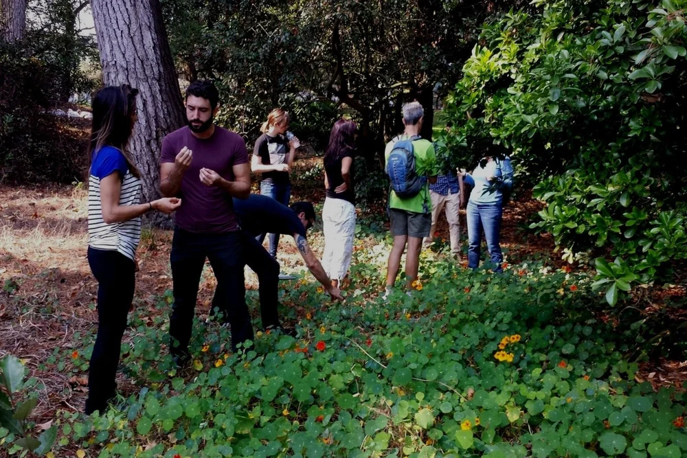 Wild Foraging Classes in California