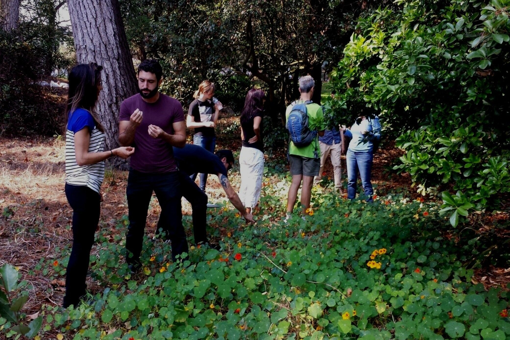 Wild Foraging Classes in California