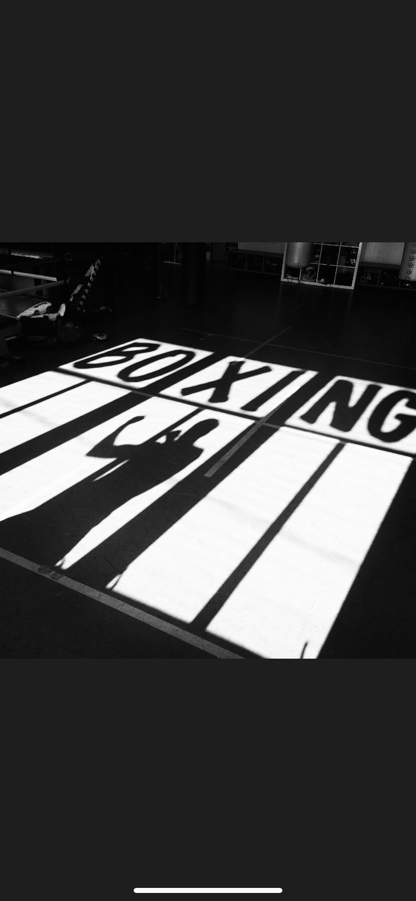 Boxing Shadow.jpg