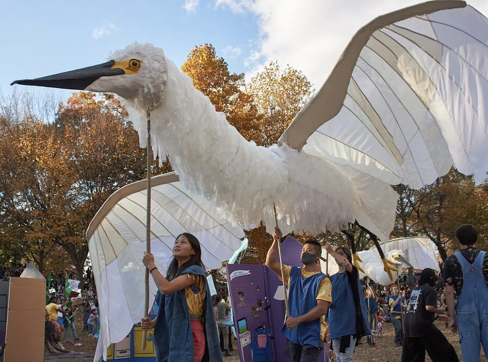 egrets_hanbit kwon.jpg