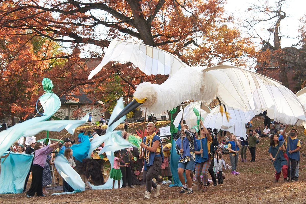 IMG_Hanbit Kwon_8822_egrets.jpg