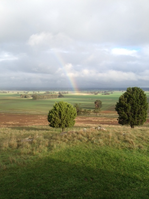 Rainbow.jpg