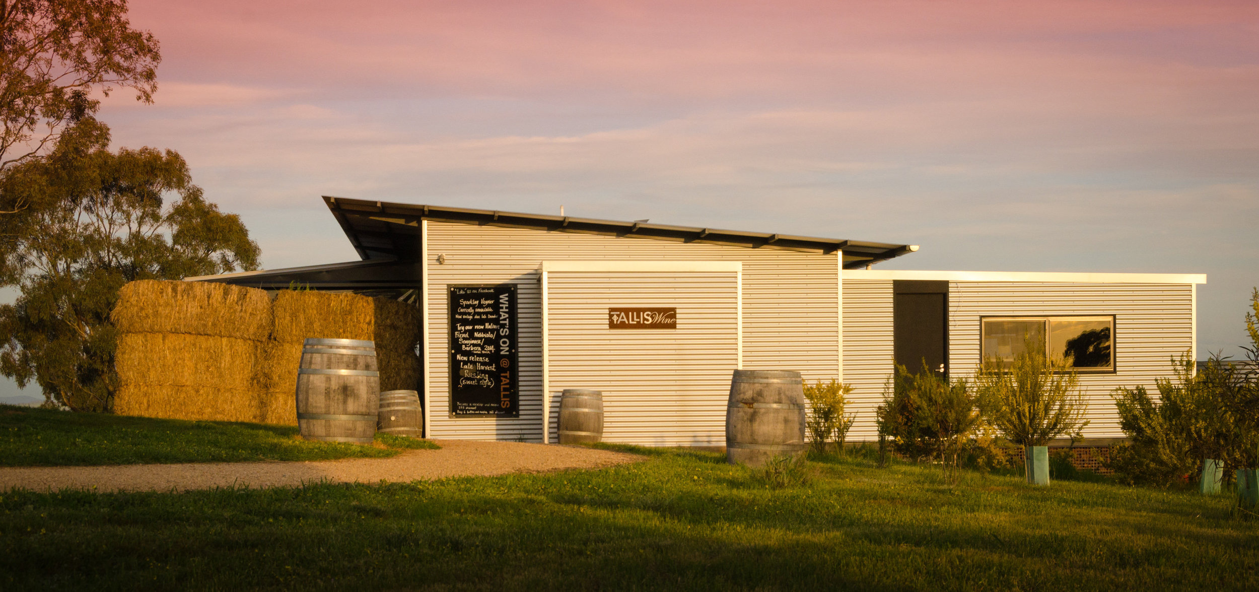 20150920-Dookie-Canola-THN_8325.jpg