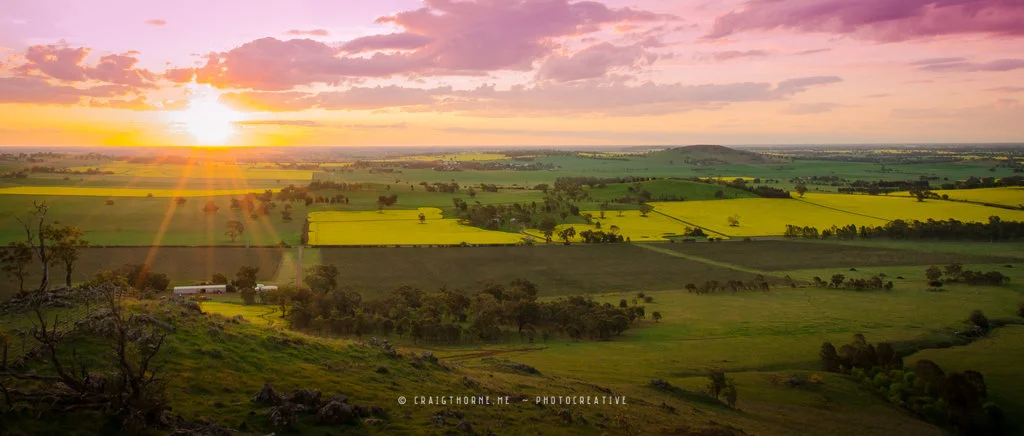 20150920-Dookie-Canola-THN_8397.jpg