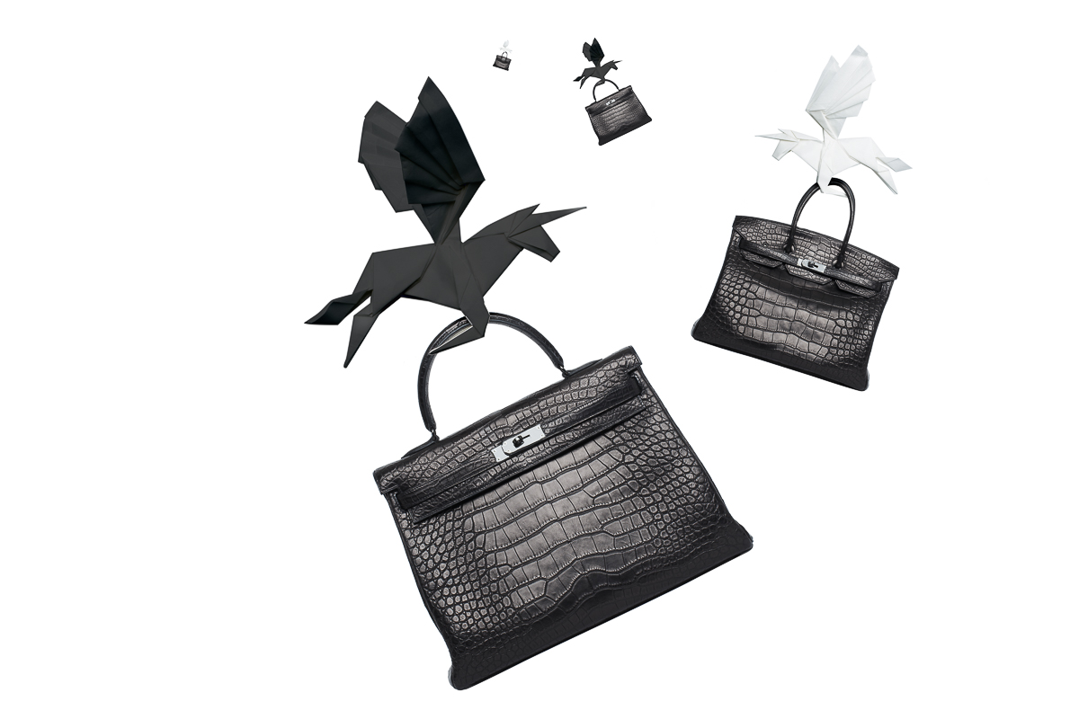 HERMES_HDP_WEB STANDARD RES_2.jpg