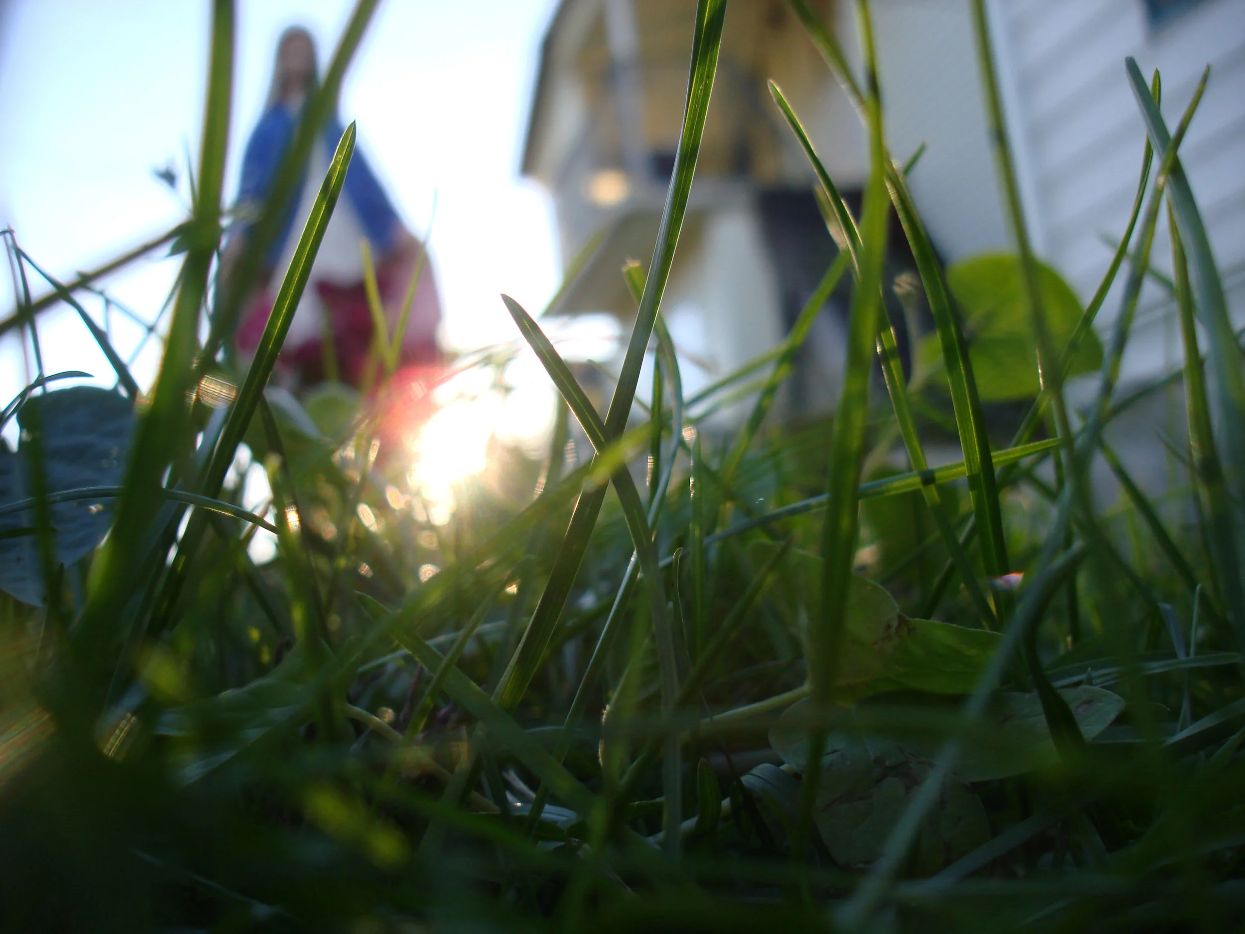 DSC06474.jpg