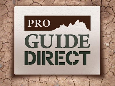 Pro Guide Direct Logo