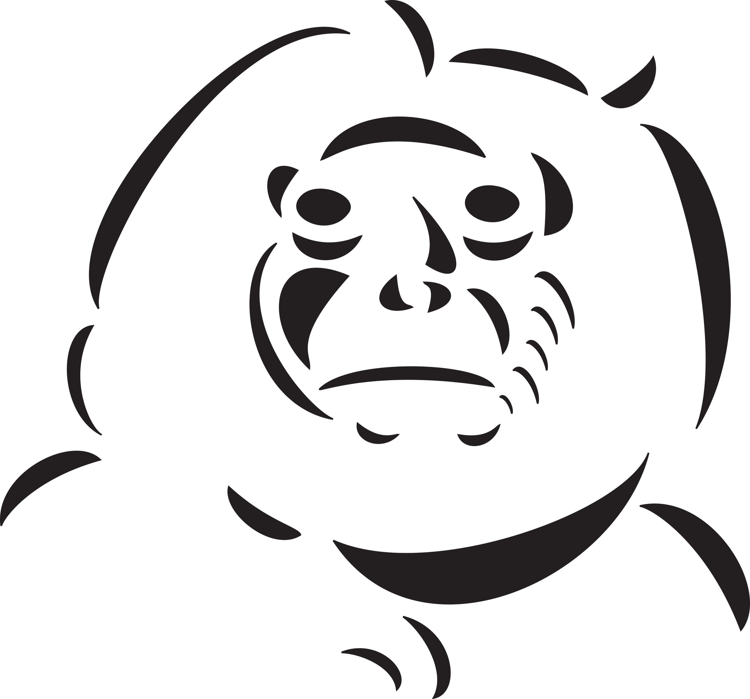 Female Orangutan Hires Male Orangutan To Help Kill Another Orangutan