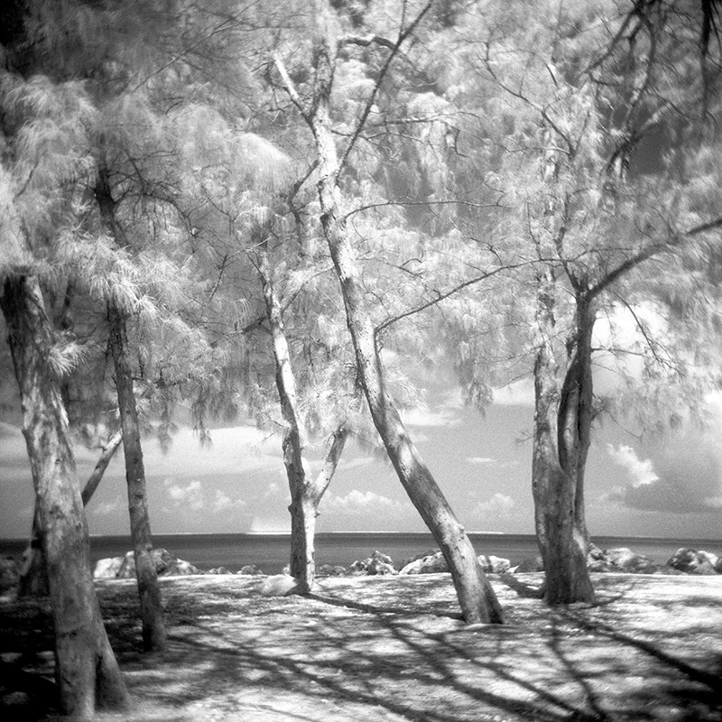 emma j starr photography analogue key west- 'sail with me' .jpg
