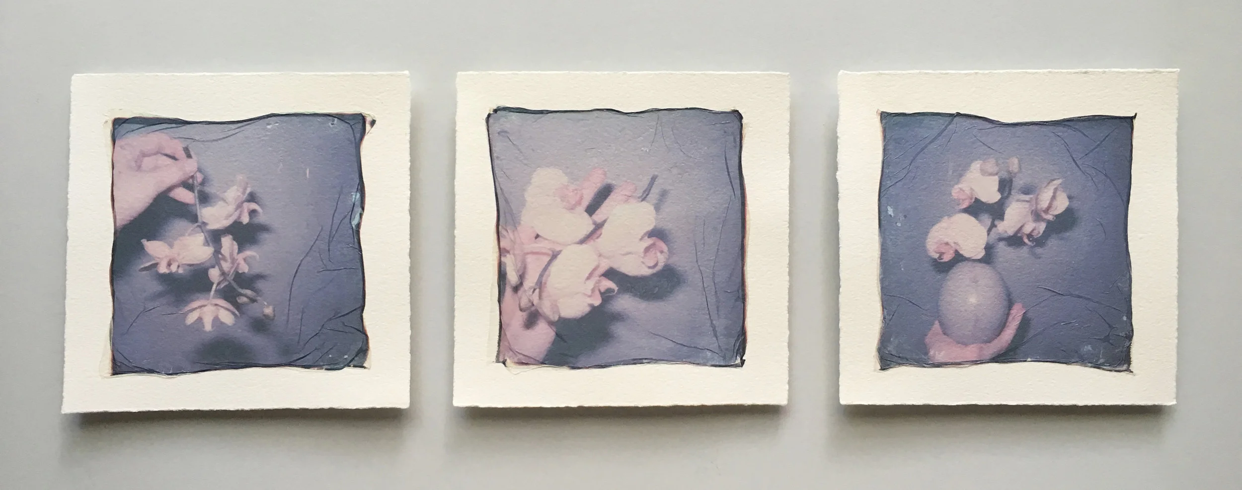 Emma Starr polaroid emulsion triptych analogue anne mckee key west .jpg