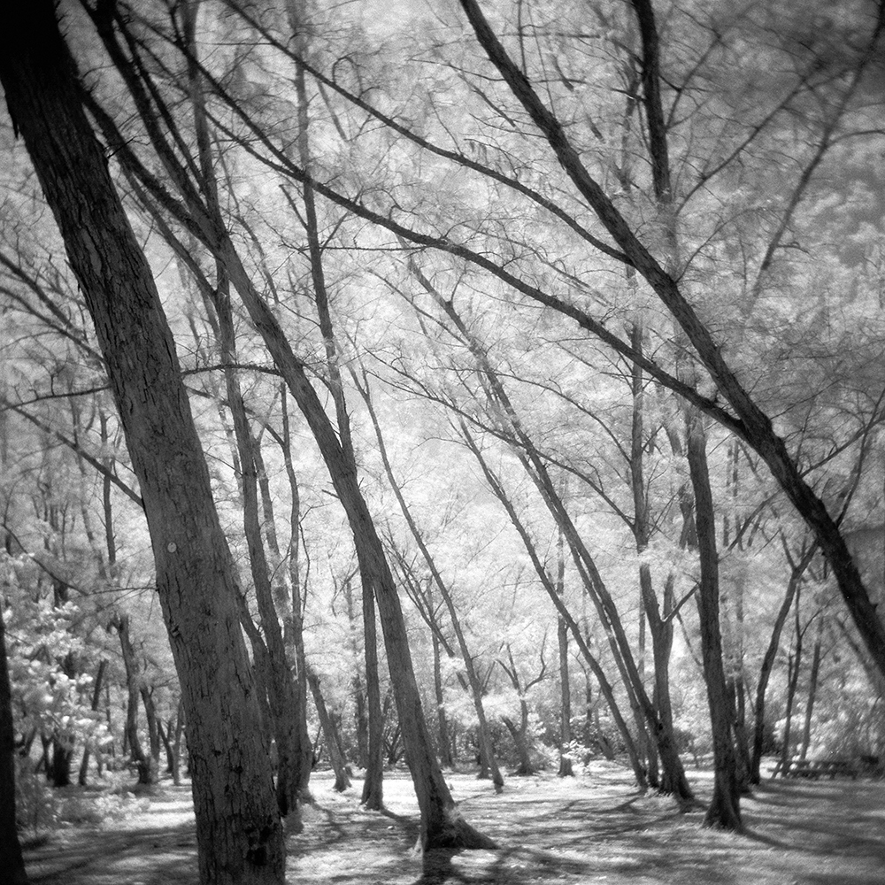 emma j starr infrared film holga analogue photography key west .jpg