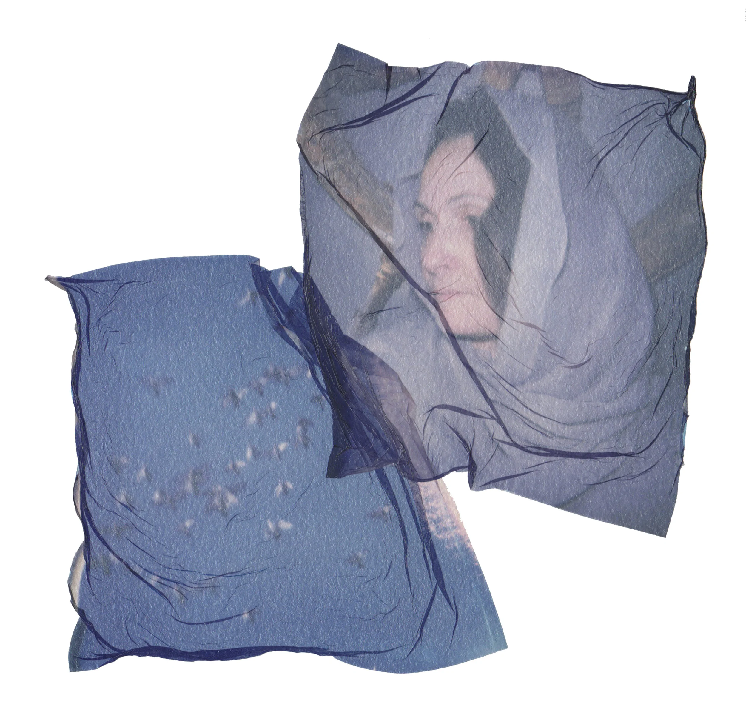 emma starr_untitled_polaroid emulsion lift diptych .jpg