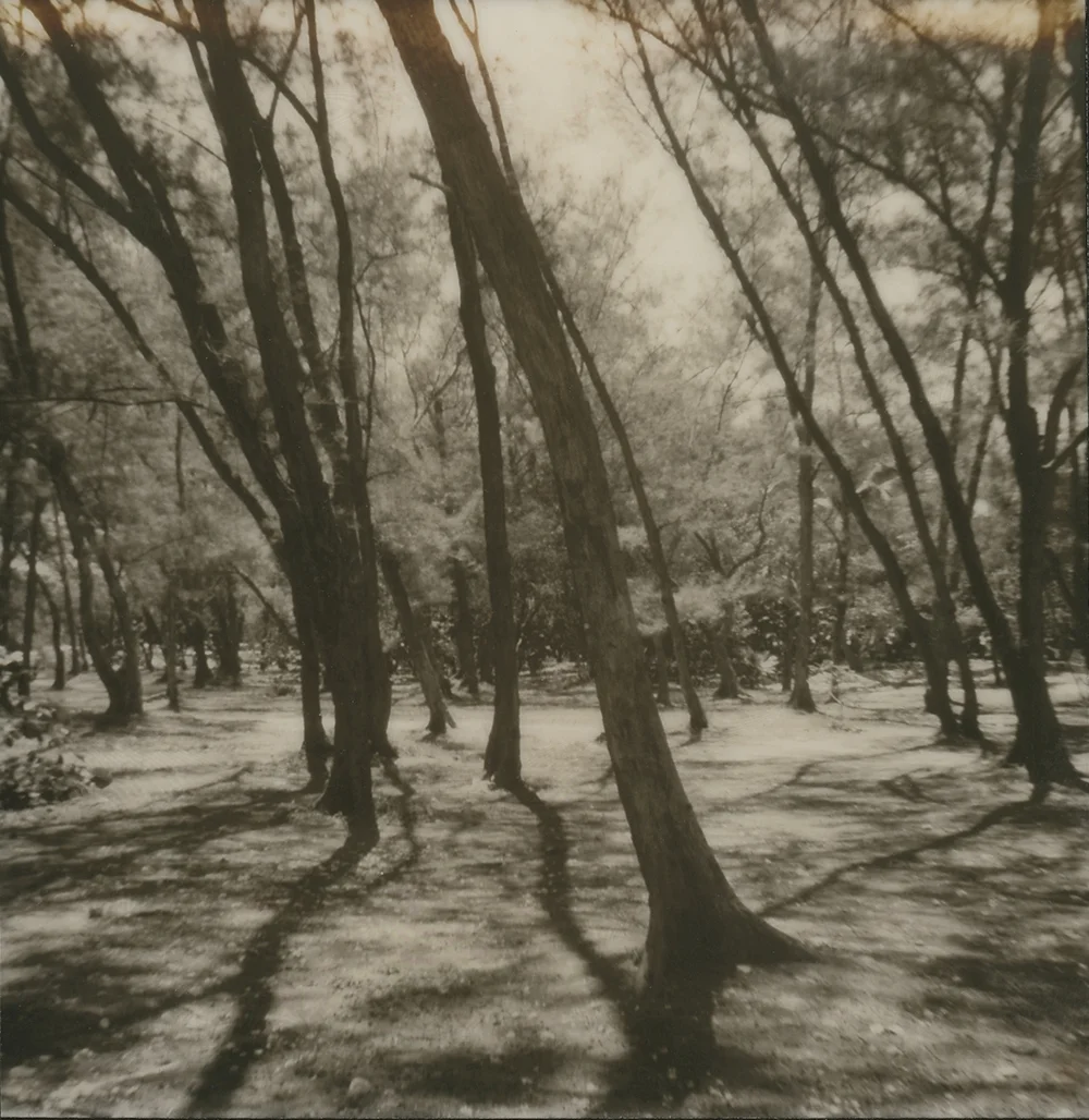 emma jay starr analogue photography polaroid key west impossible project 9 .jpg