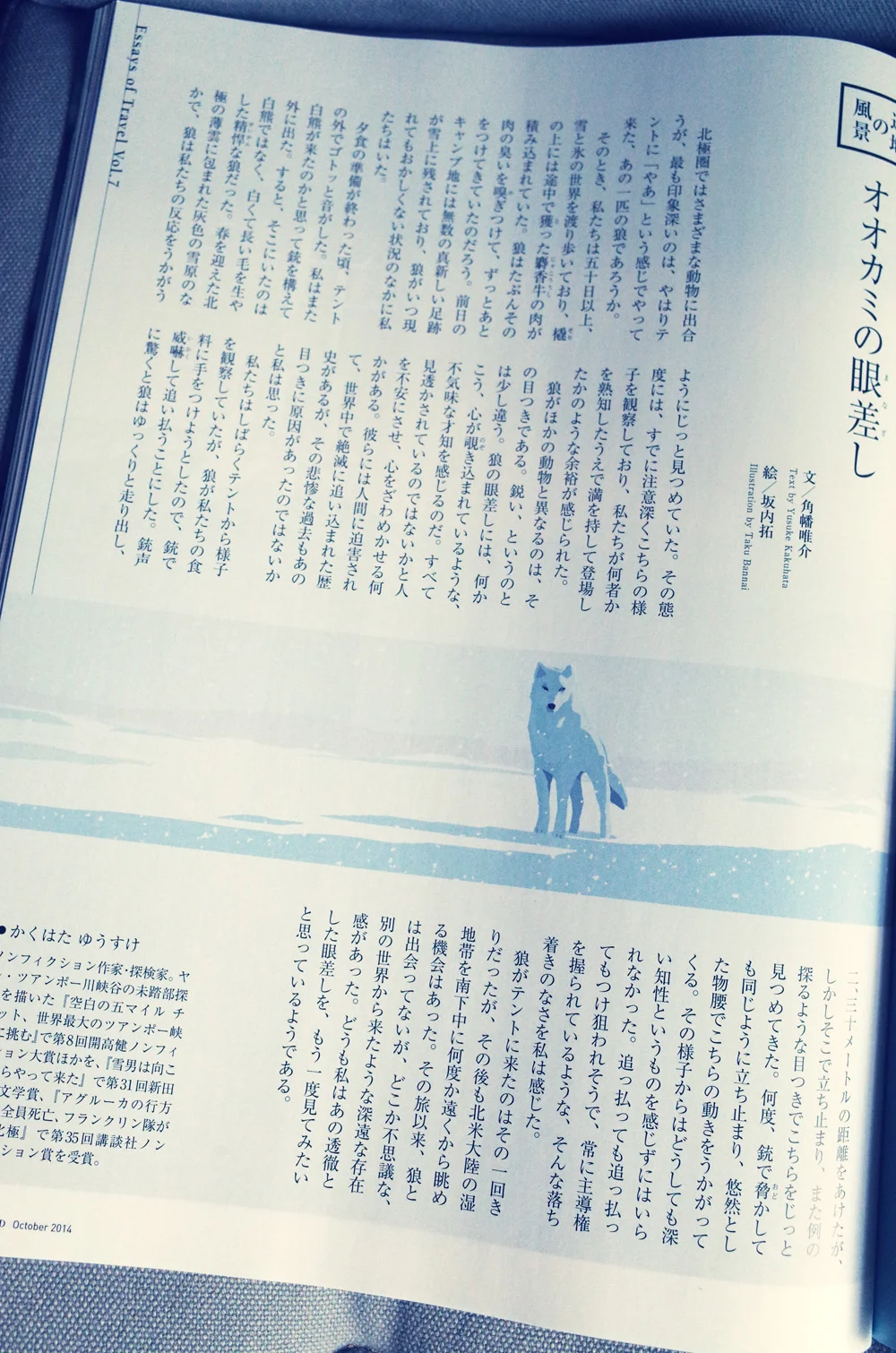 JAL「SKYWARD」10月号 辺地の風景。 今回は北極に生きるオオカミを描いています。 北極の白い世界に、白いオオカミ。 白のイメージを邪魔しないような背景や影の配色を模索した1枚です。 角幡さんの文章、オオカミとの距離感がすごく伝わってきて素敵でした。 そんな、クールな雰囲気がうまく伝わるといいのですが。。