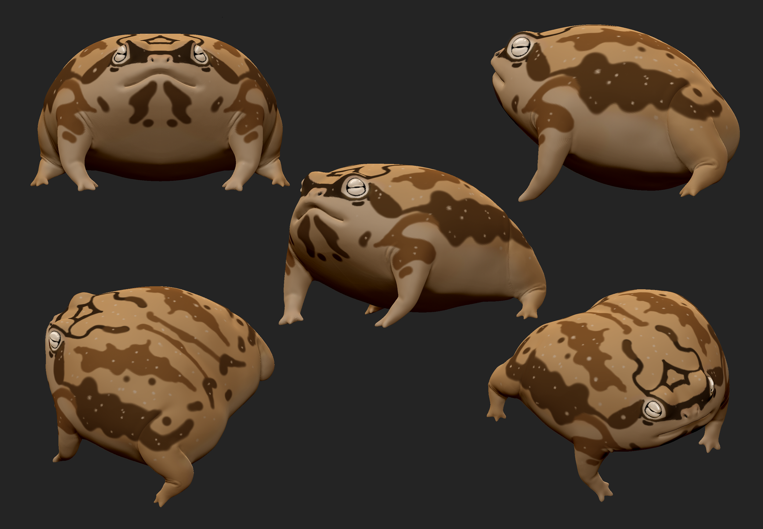 CassieYan_rainfrog.png