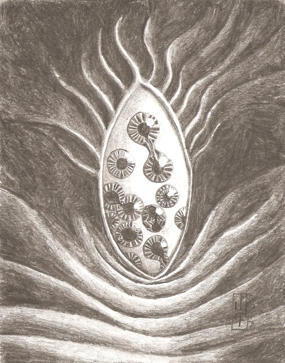 diVision