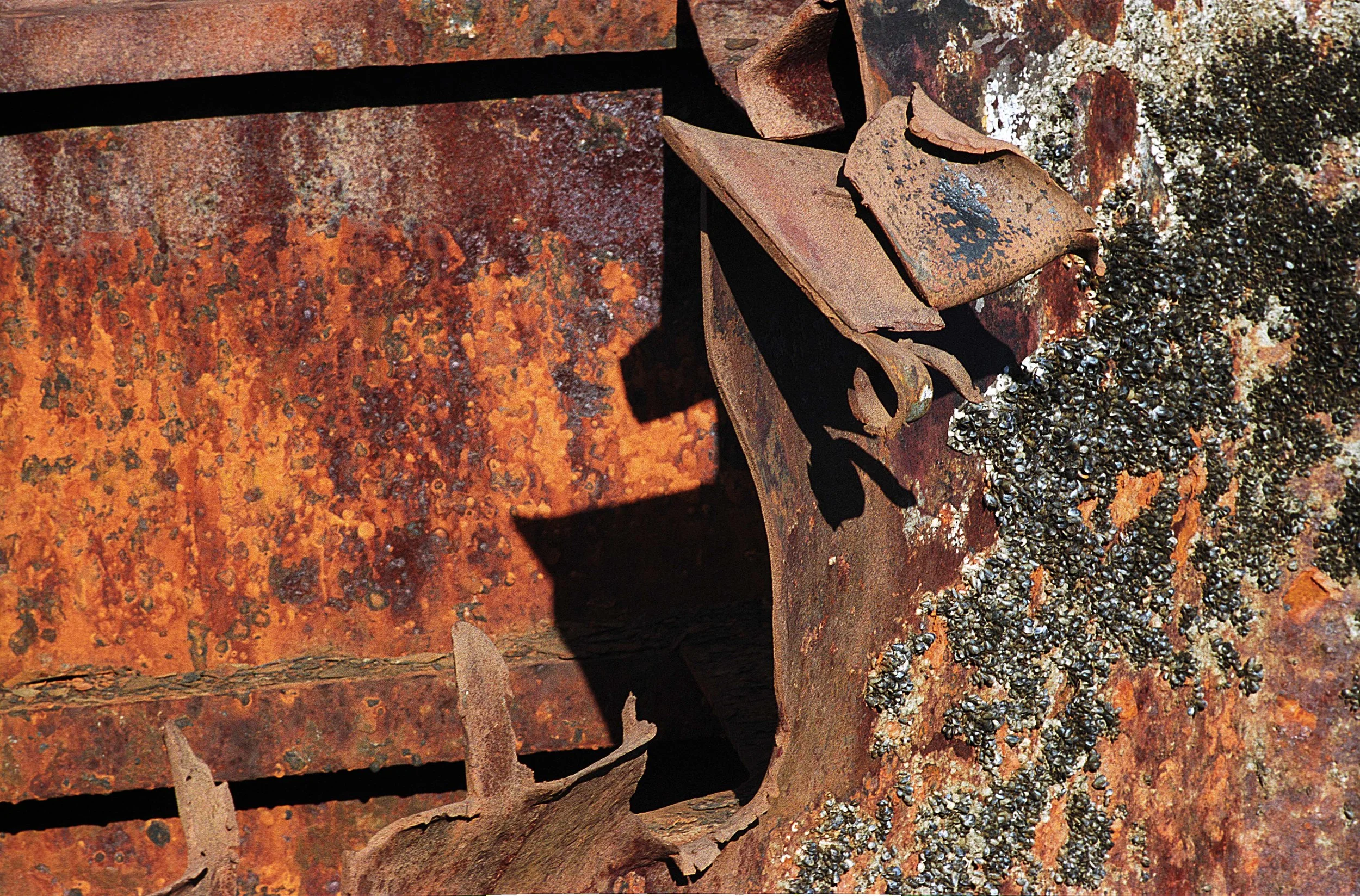 Rust + skjell Kaldnes T2 lavo 11.14 .jpg