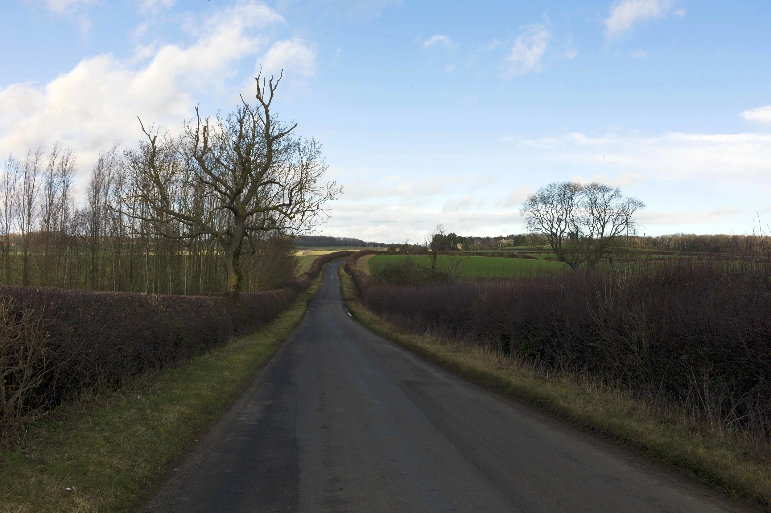 Cotswold long and winding road lavo 1.12.jpg