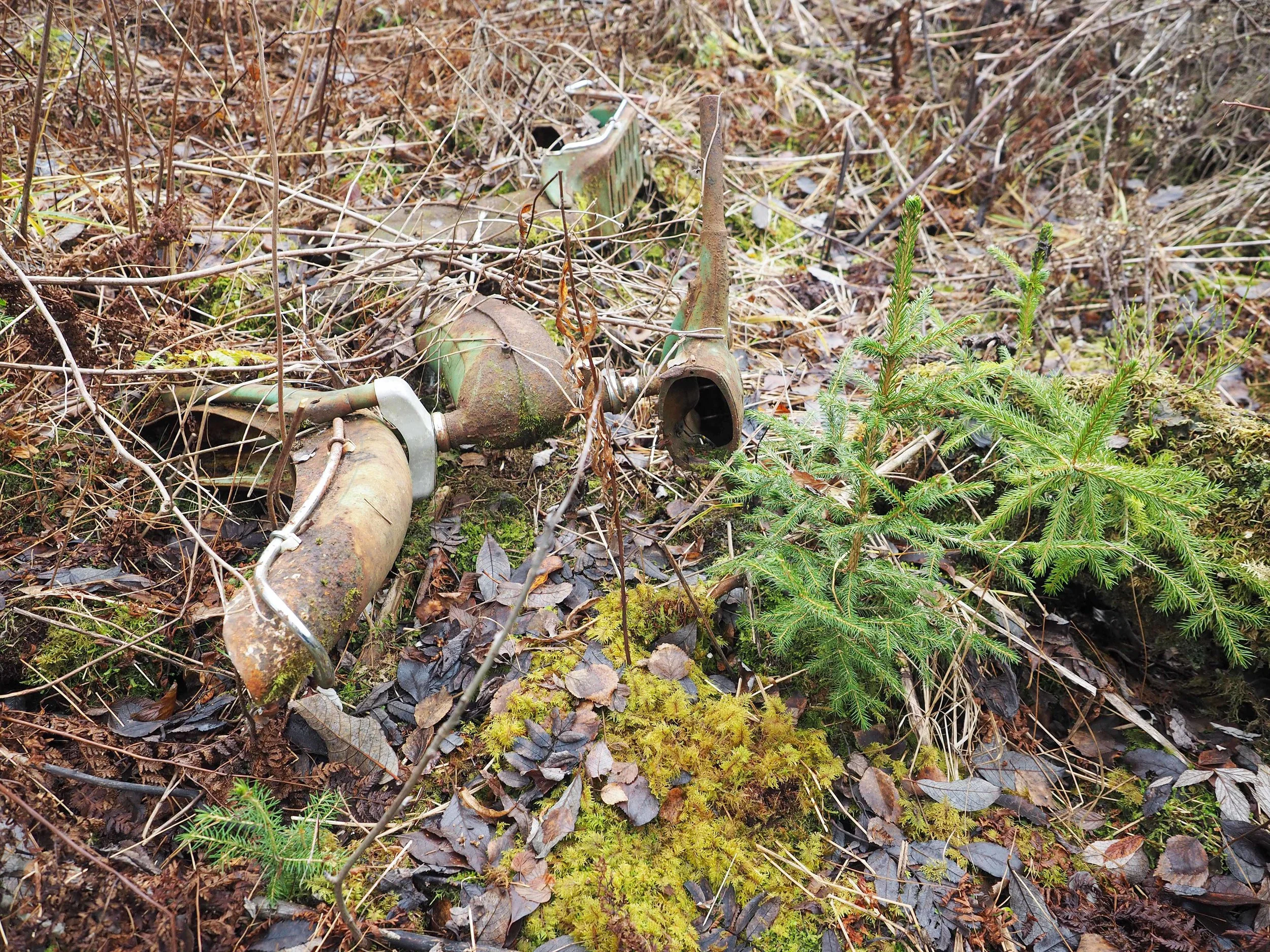 Død moped tilb til naturen lavo Åsbygda 10.14.jpg