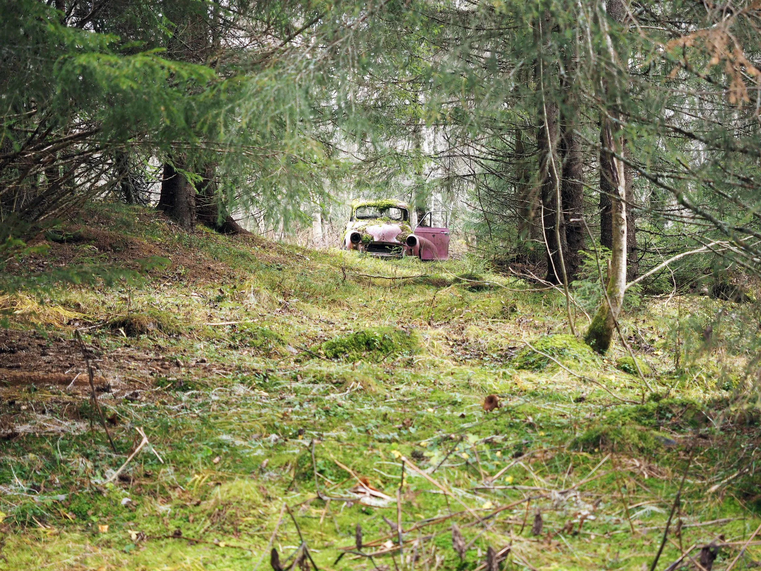 MM strandet i skogen lavo 10.14.jpg