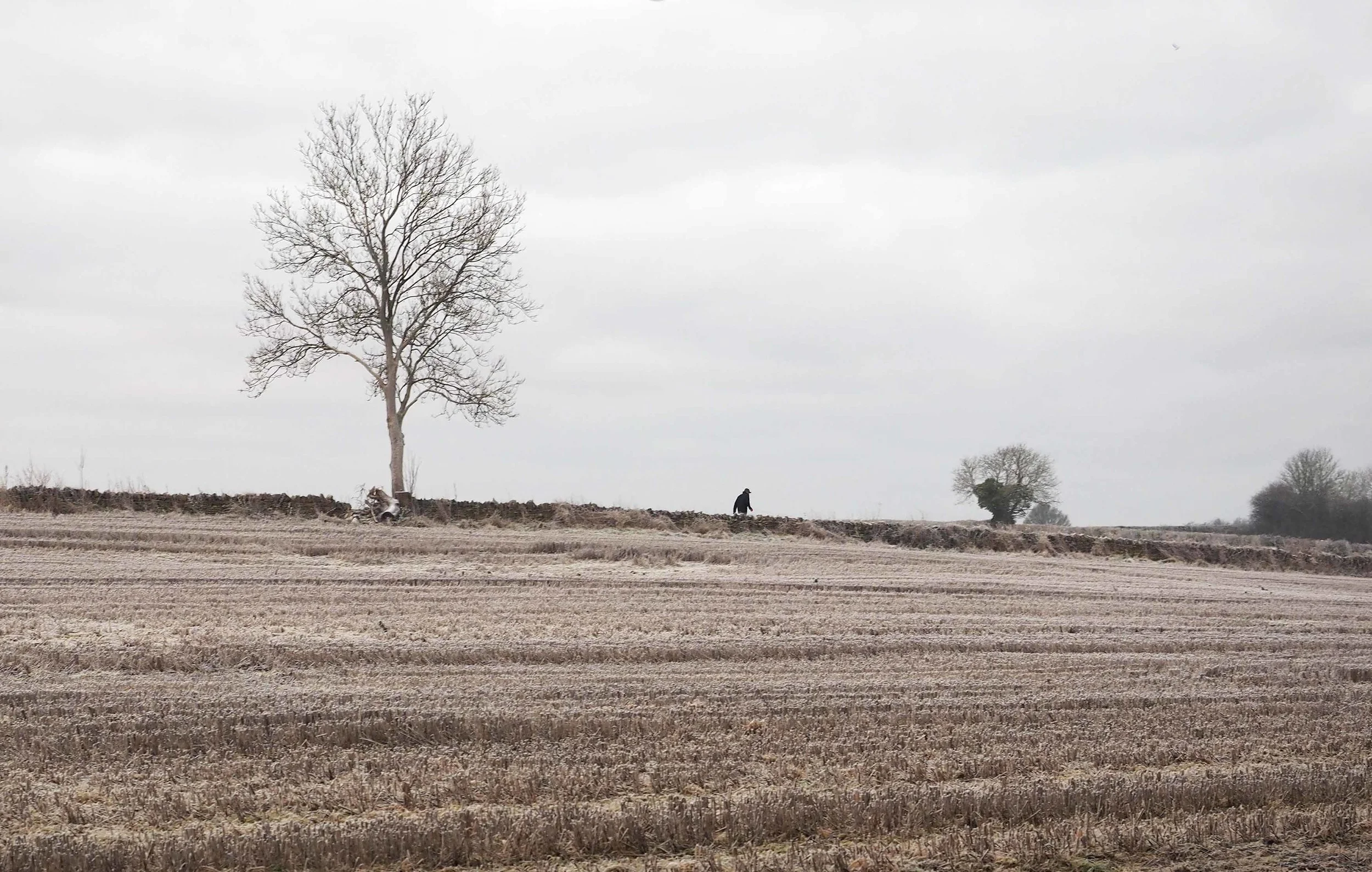 Burford man in the field lavo1.15.jpg