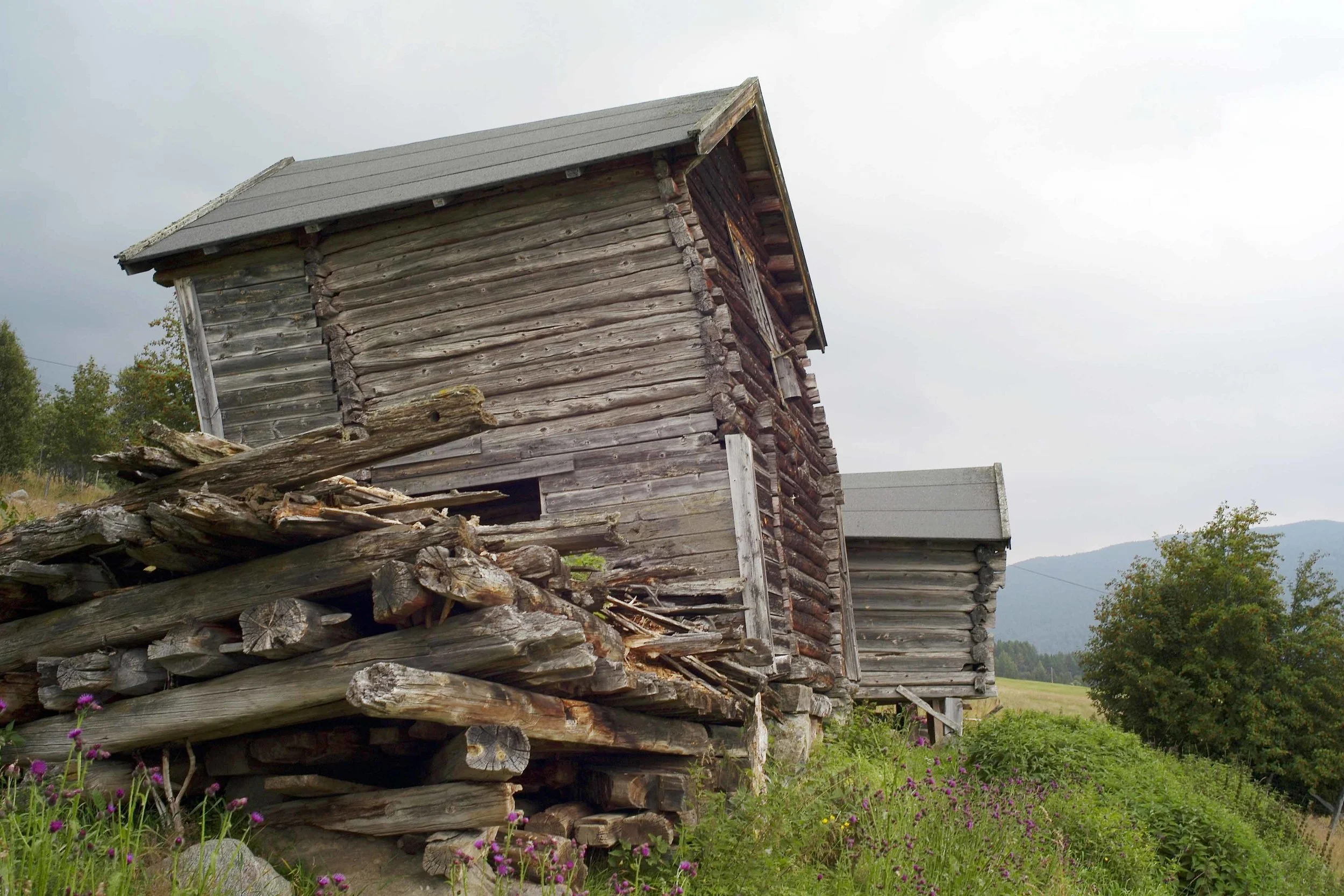 Skjevt fr siden tømmer  Geilo lavo08.09.jpg