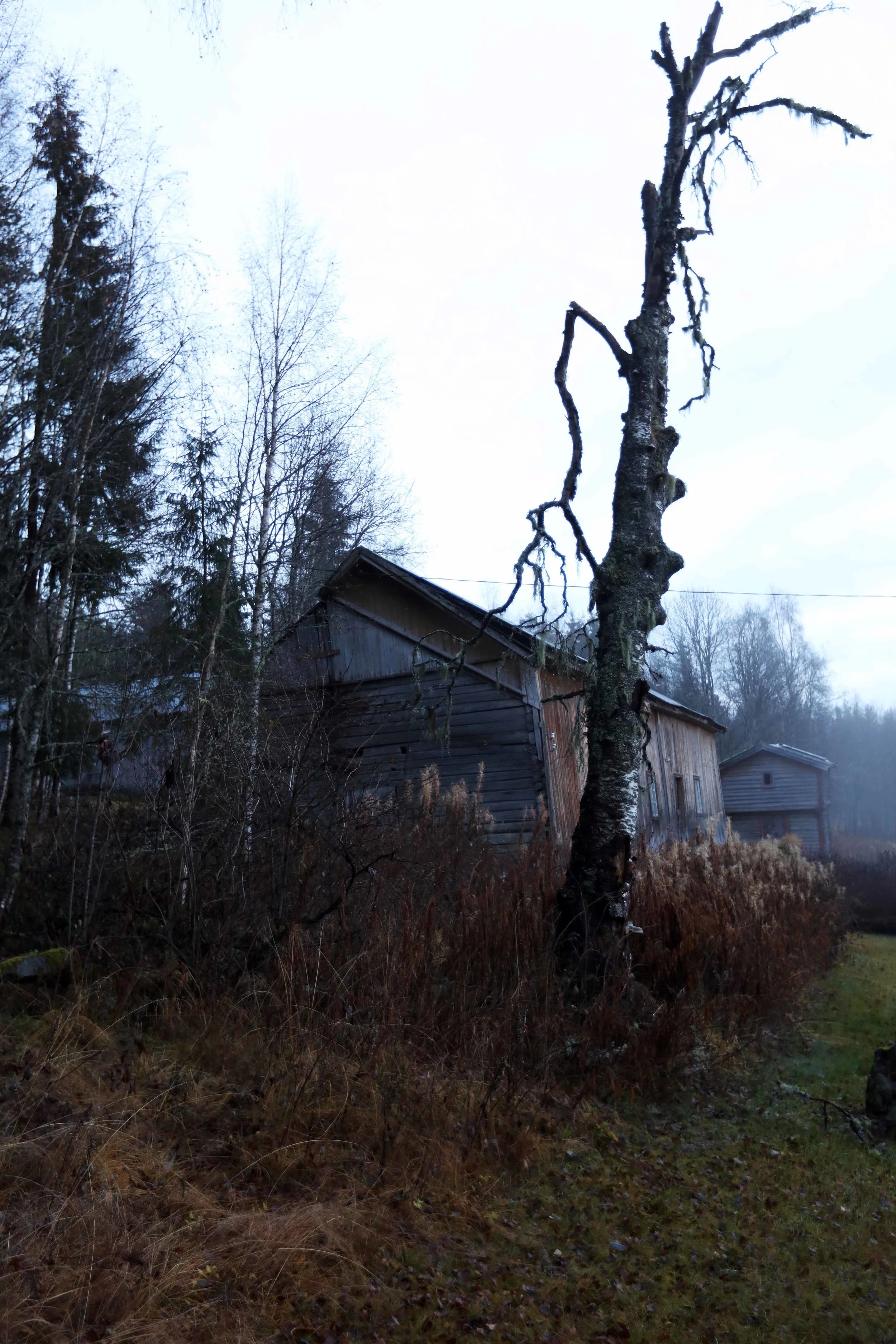 Kl Rena låve m kortv + bjerk lavo 11.15.jpg
