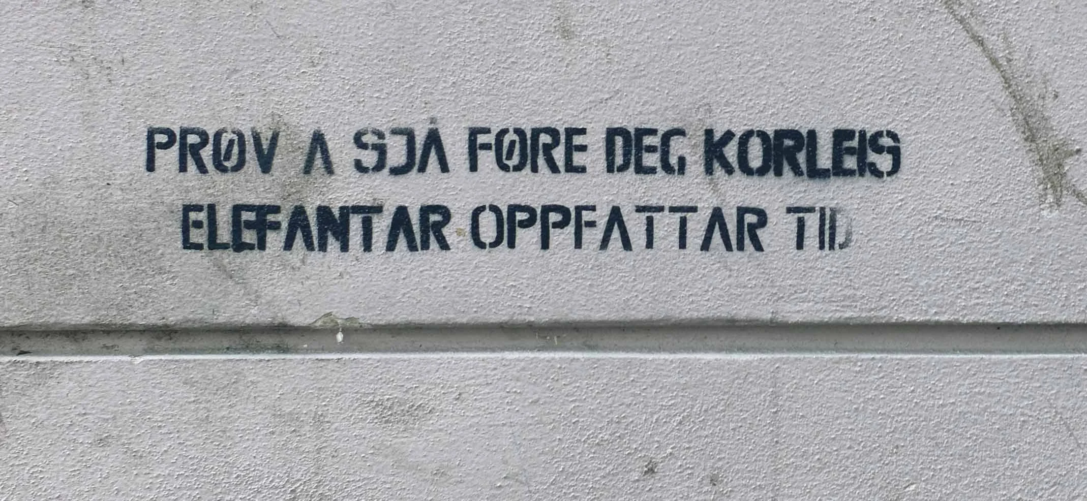 Prøv elefanter og tid 10.11 lavo.jpg