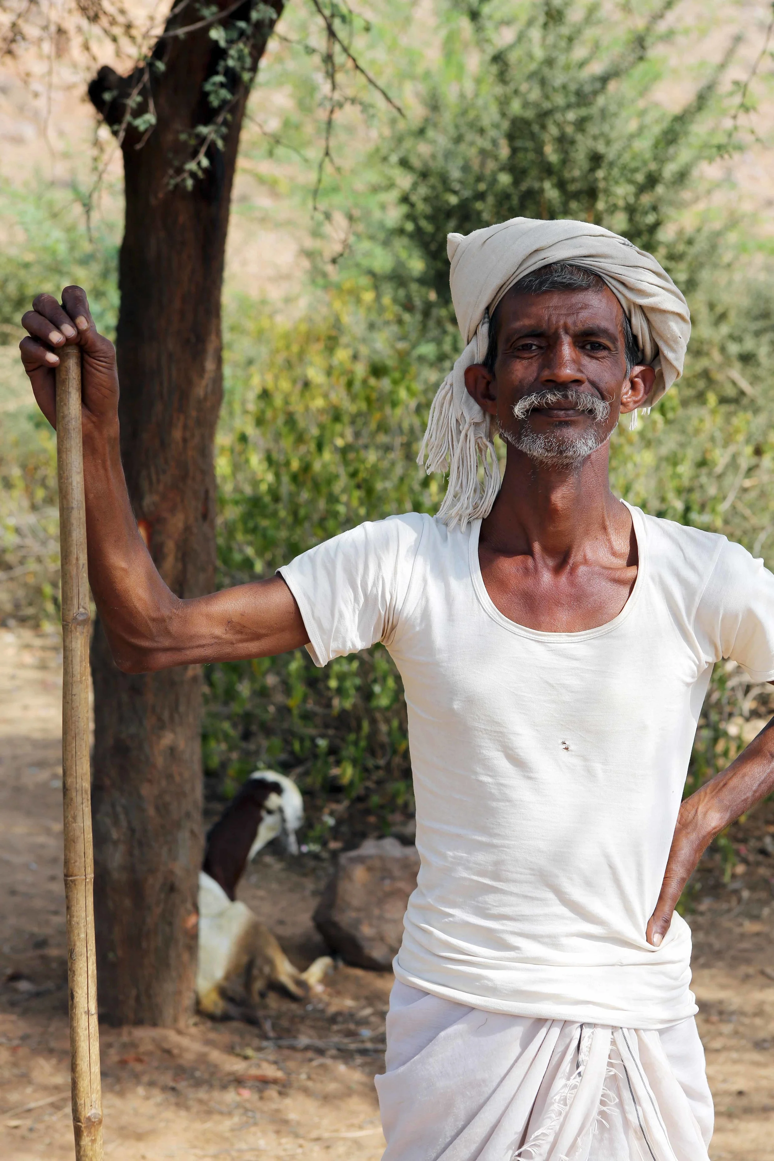 I shepard Alwar lavo 3.15.jpg