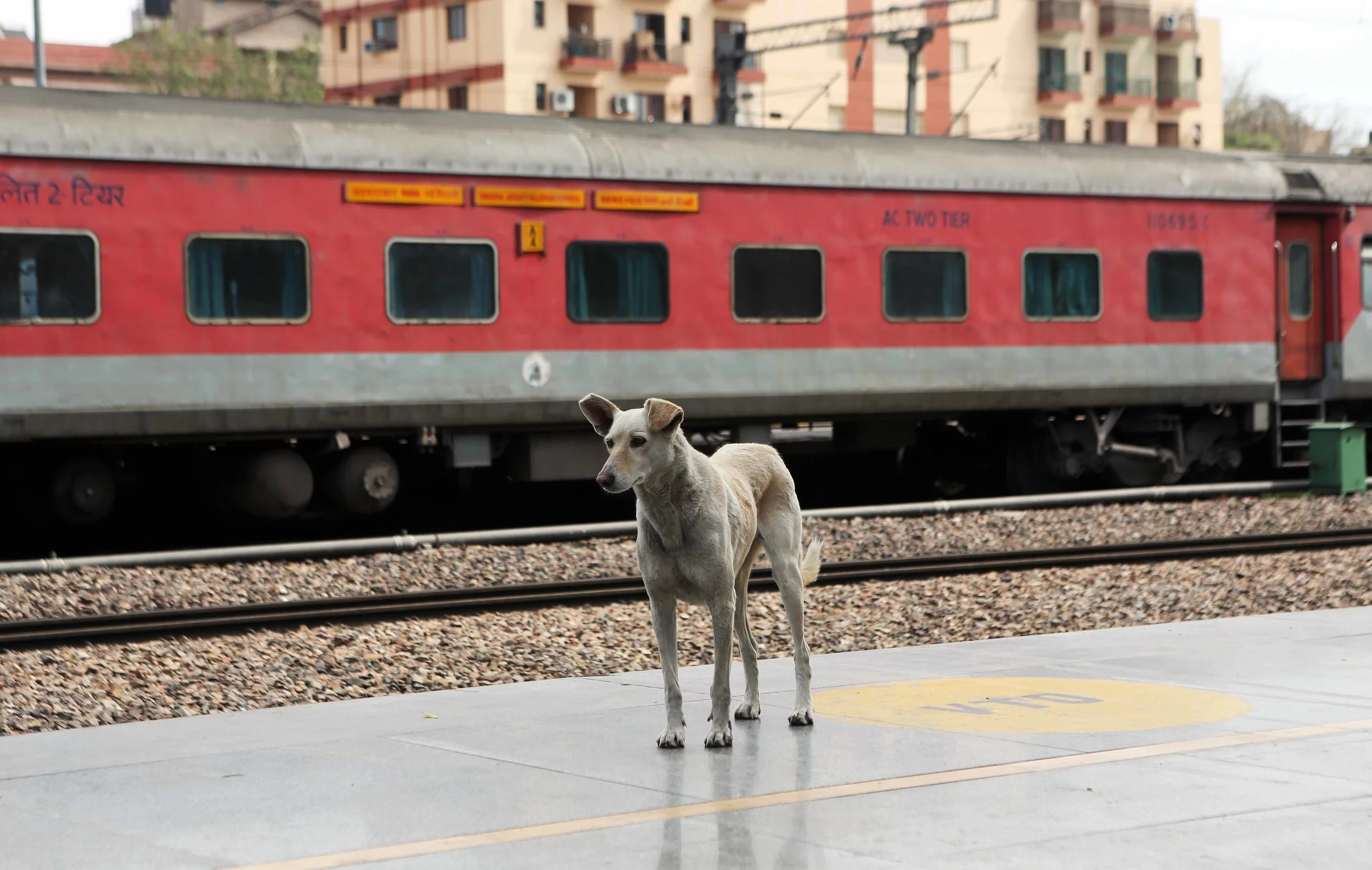I only passenger Delhi Jafar 3.16 lavo.jpg