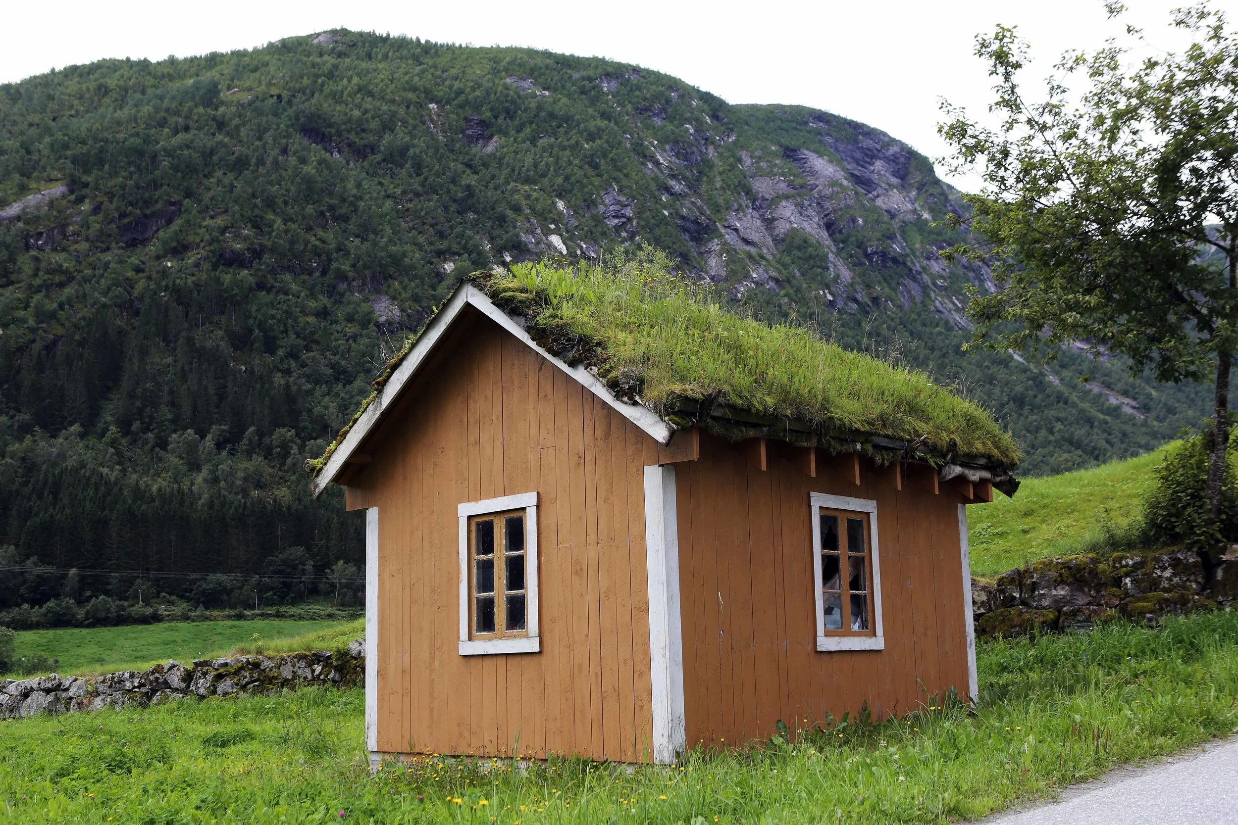 Fjærland lite gult hus m torv lavo 8.16.jpg
