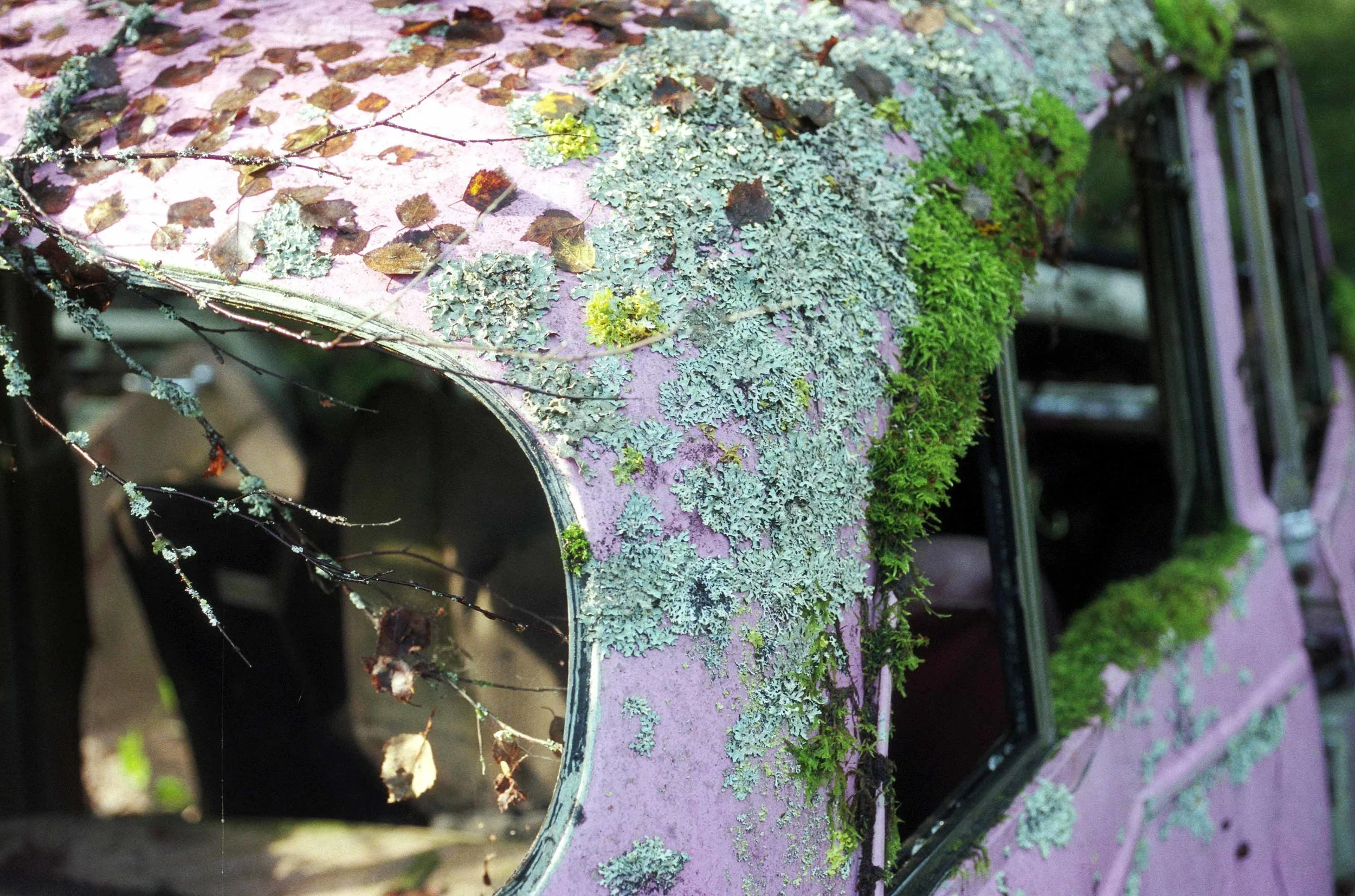 Morris M  Rena 10.6 9.16.jpg