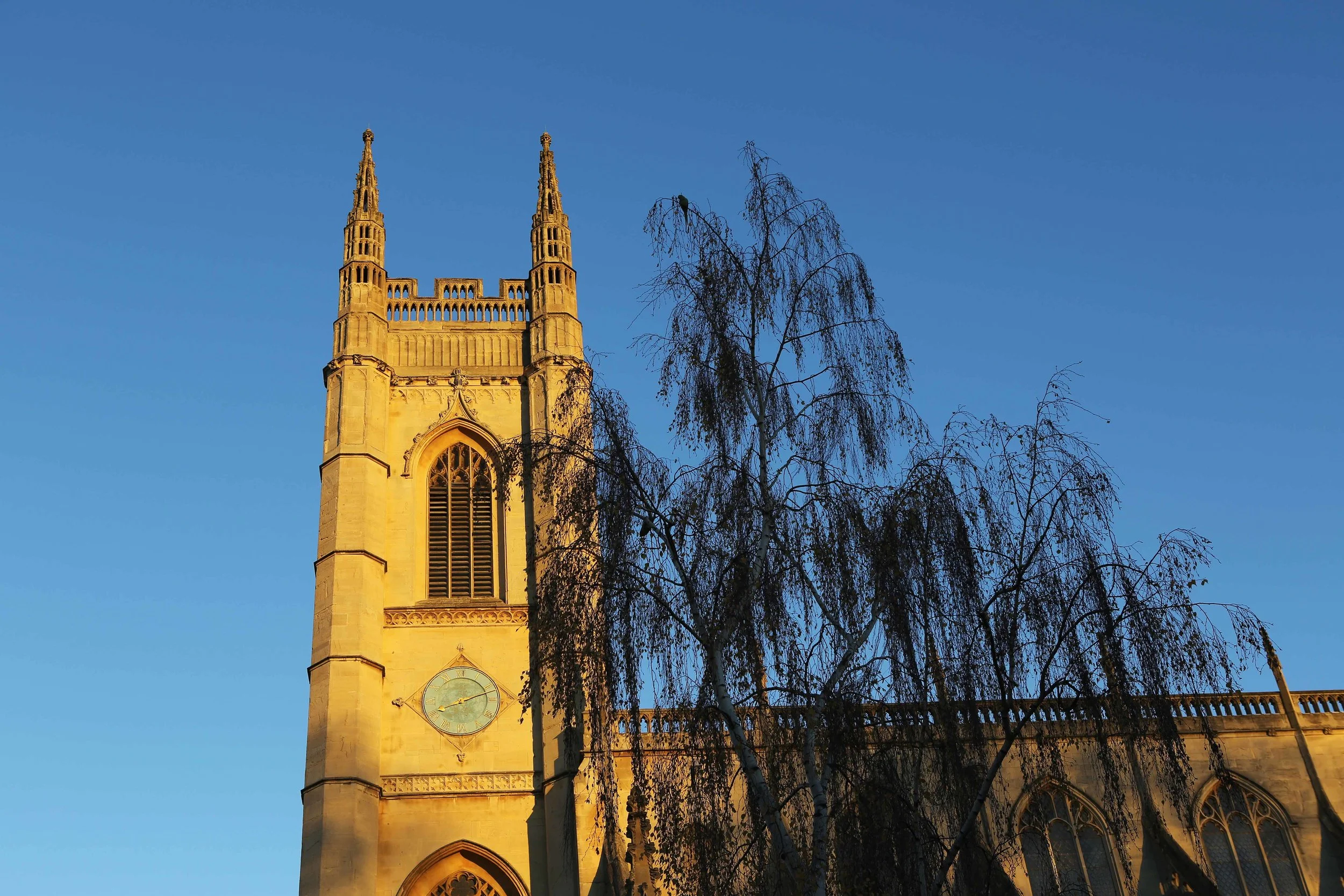 Sunny London Church w tree lavo 11.16.jpg