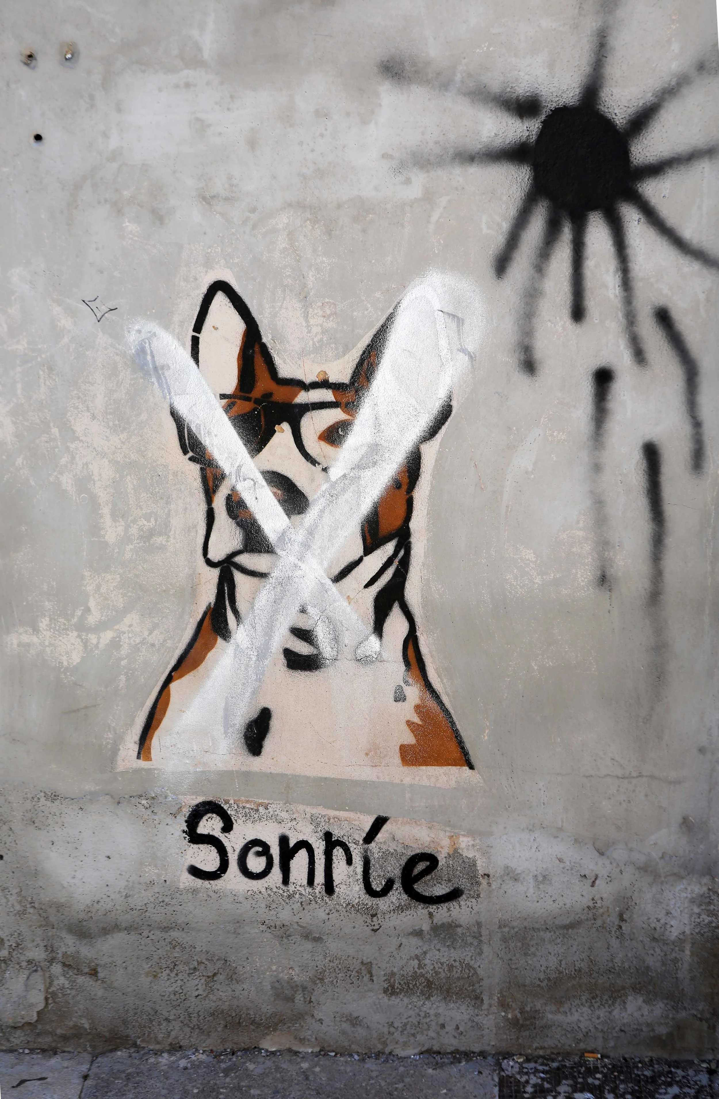 Grafitti Hund St C crp lavo4.17.jpg