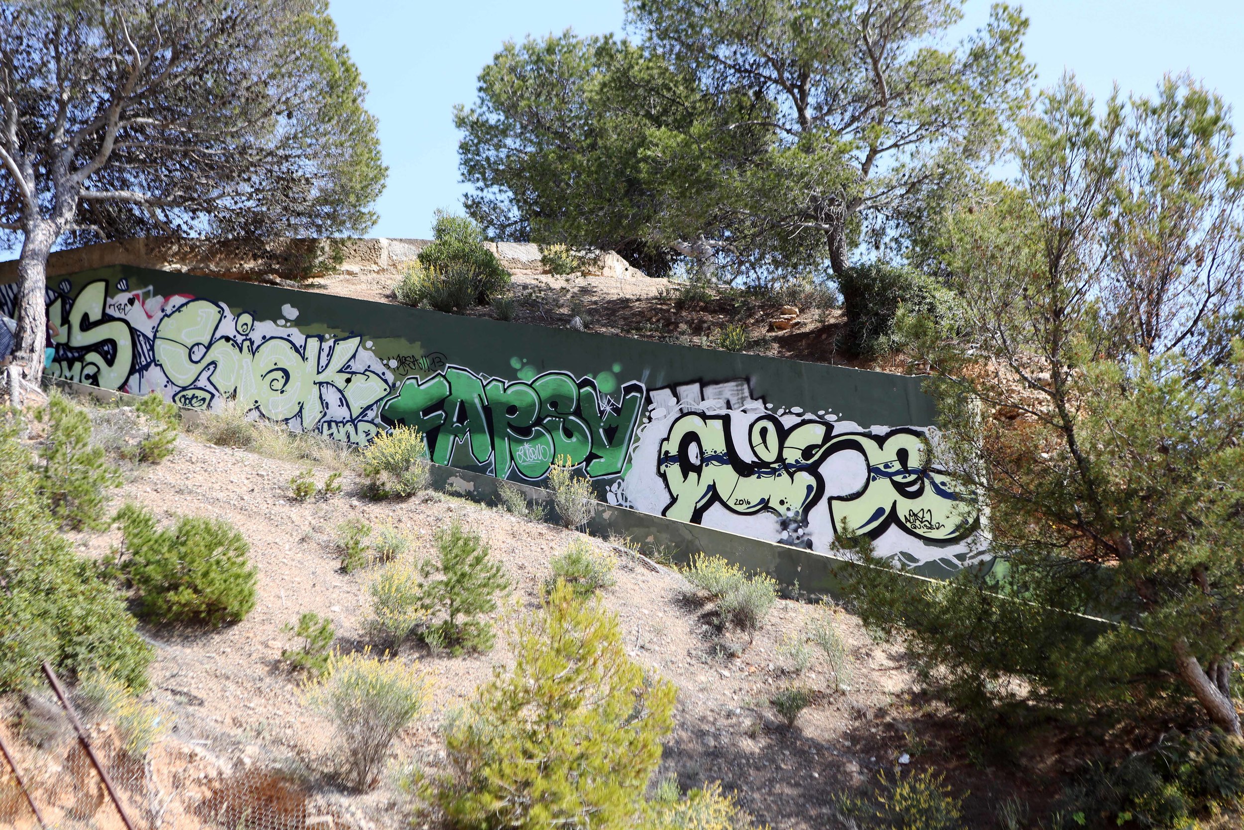 Grafitti Mallorca P nous lavo  4.17.jpg
