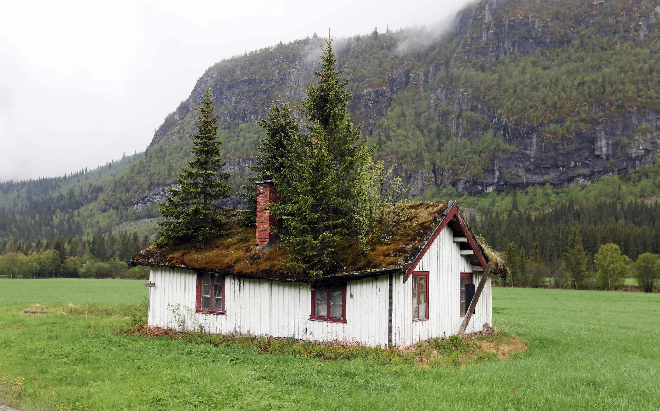 Hus m trær i nf Hemsedal lavo 6.17.jpg